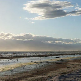 view of salton sea