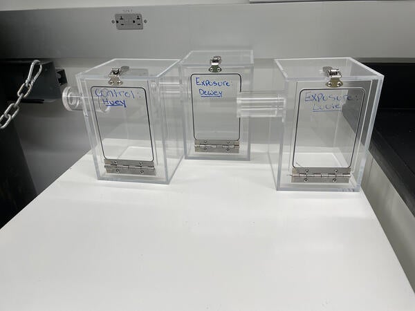 small chambers used for BREATHE lab 2